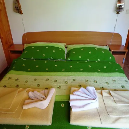 بيت ضيافة Centrum Sklené Teplice