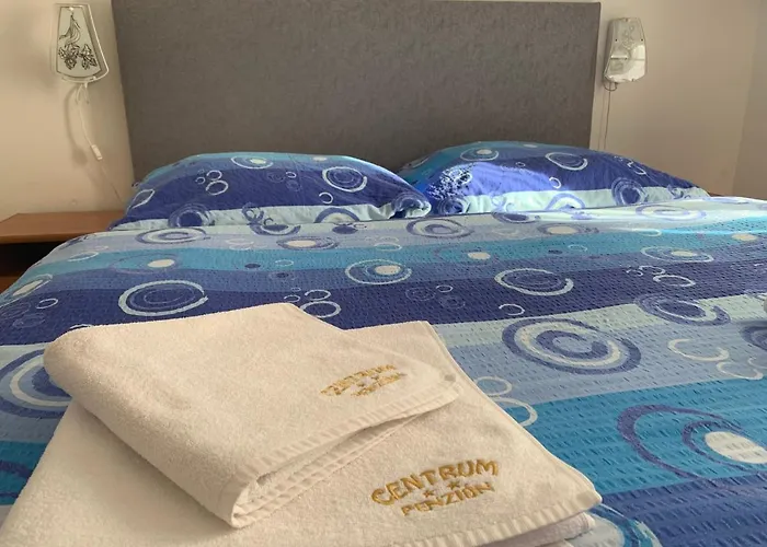 Centrum Gæstehus Sklené Teplice